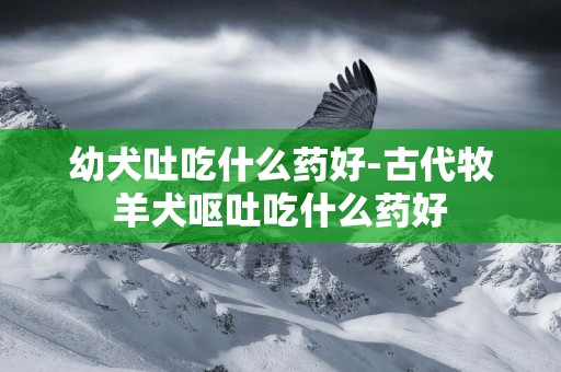 幼犬吐吃什么藥好-古代牧羊犬嘔吐吃什么藥好