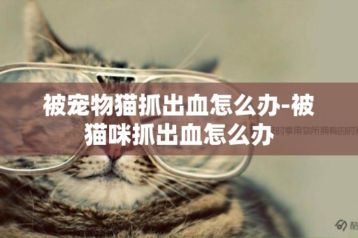 被寵物貓抓出血怎么辦-被貓咪抓出血怎么辦