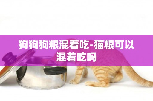 狗狗狗糧混著吃-貓糧可以混著吃嗎