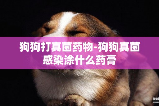 狗狗打真菌藥物-狗狗真菌感染涂什么藥膏