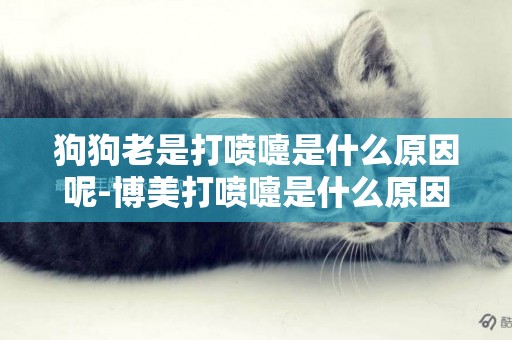 狗狗老是打噴嚏是什么原因呢-博美打噴嚏是什么原因