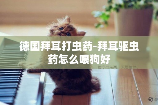 德國拜耳打蟲藥-拜耳驅蟲藥怎么喂狗好