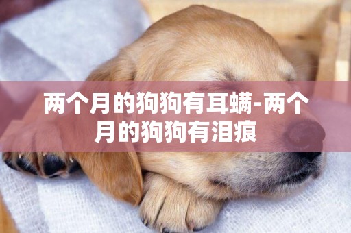 兩個月的狗狗有耳螨-兩個月的狗狗有淚痕