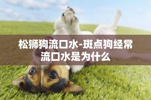 松獅狗流口水-斑點狗經常流口水是為什么