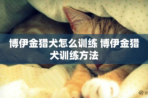 博伊金獵犬怎么訓練 博伊金獵犬訓練方法