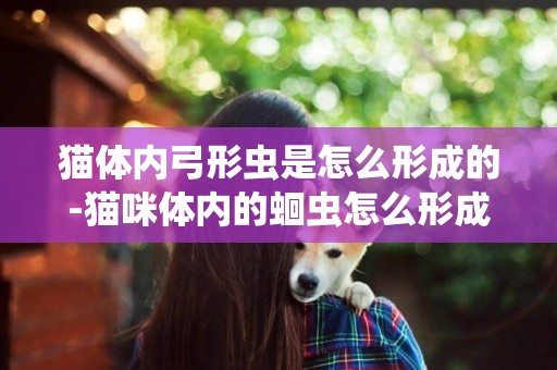 貓體內弓形蟲是怎么形成的-貓咪體內的蛔蟲怎么形成的