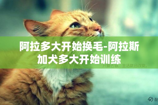 阿拉多大開始換毛-阿拉斯加犬多大開始訓練