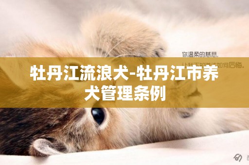 牡丹江流浪犬-牡丹江市養犬管理條例