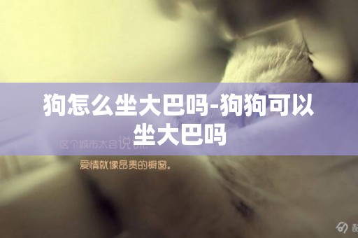 狗怎么坐大巴嗎-狗狗可以坐大巴嗎