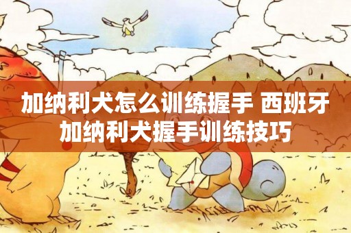 加納利犬怎么訓練握手 西班牙加納利犬握手訓練技巧