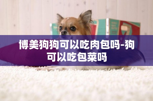 博美狗狗可以吃肉包嗎-狗可以吃包菜嗎