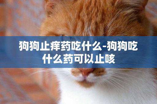 狗狗止癢藥吃什么-狗狗吃什么藥可以止咳