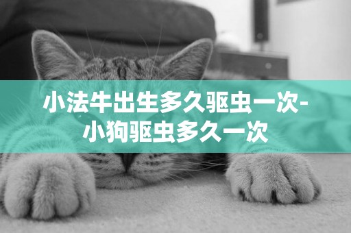 小法牛出生多久驅蟲一次-小狗驅蟲多久一次