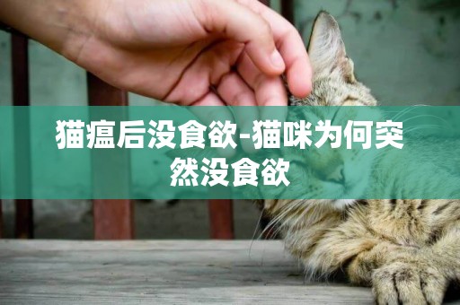 貓瘟后沒食欲-貓咪為何突然沒食欲