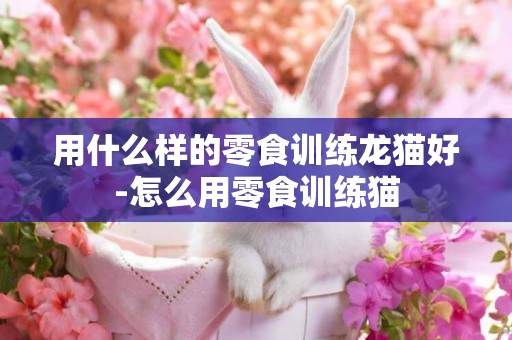 用什么樣的零食訓練龍貓好-怎么用零食訓練貓
