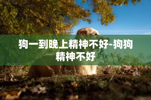 狗一到晚上精神不好-狗狗精神不好