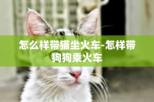 怎么樣帶貓坐火車-怎樣帶狗狗乘火車