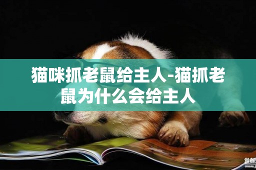 貓咪抓老鼠給主人-貓抓老鼠為什么會給主人