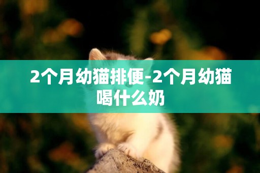 2個月幼貓排便-2個月幼貓喝什么奶