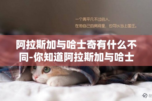 阿拉斯加與哈士奇有什么不同-你知道阿拉斯加與哈士奇有什么區別嗎
