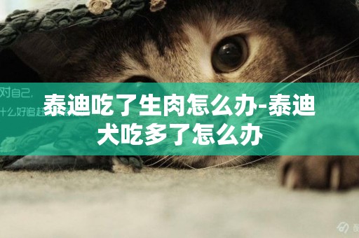 泰迪吃了生肉怎么辦-泰迪犬吃多了怎么辦