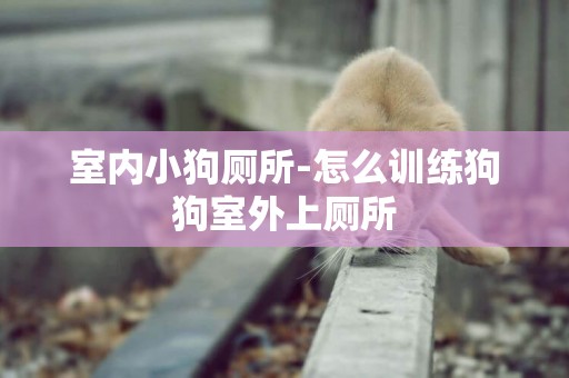 室內小狗廁所-怎么訓練狗狗室外上廁所