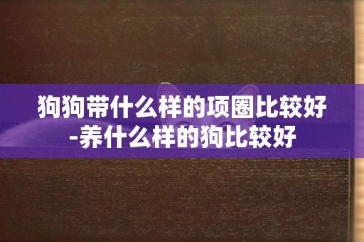 狗狗帶什么樣的項圈比較好-養什么樣的狗比較好