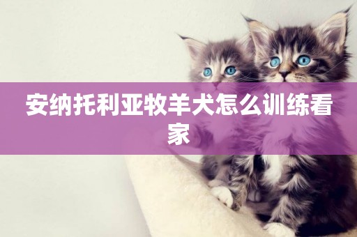安納托利亞牧羊犬怎么訓練看家