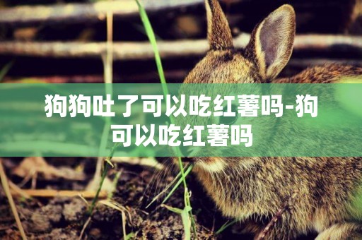 狗狗吐了可以吃紅薯嗎-狗可以吃紅薯嗎