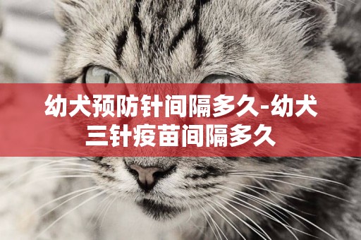 幼犬預防針間隔多久-幼犬三針疫苗間隔多久