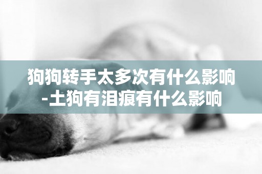 狗狗轉手太多次有什么影響-土狗有淚痕有什么影響