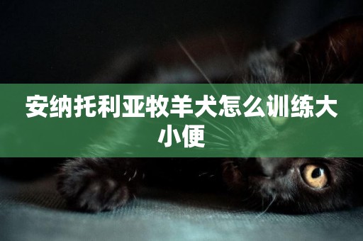 安納托利亞牧羊犬怎么訓練大小便