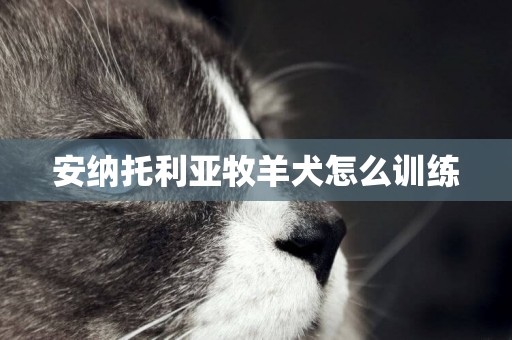 安納托利亞牧羊犬怎么訓練