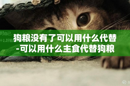 狗糧沒有了可以用什么代替-可以用什么主食代替狗糧