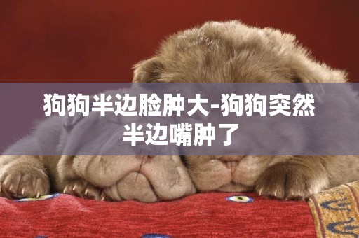 狗狗半邊臉腫大-狗狗突然半邊嘴腫了