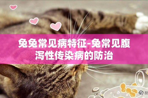 兔兔常見病特征-兔常見腹瀉性傳染病的防治