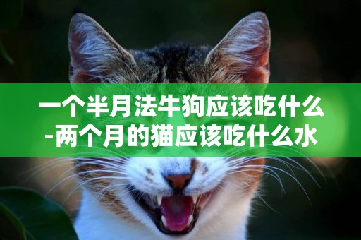 一個半月法牛狗應該吃什么-兩個月的貓應該吃什么水果
