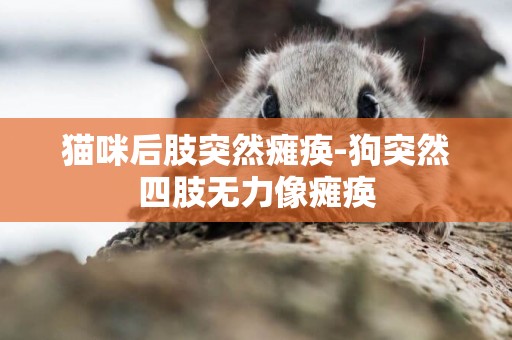 貓咪后肢突然癱瘓-狗突然四肢無力像癱瘓