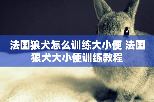 法國狼犬怎么訓練大小便 法國狼犬大小便訓練教程