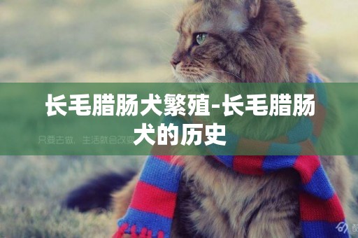 長毛臘腸犬繁殖-長毛臘腸犬的歷史