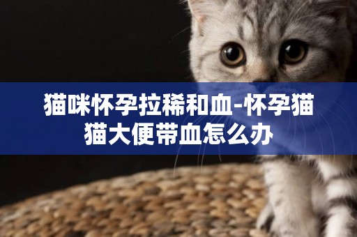 貓咪懷孕拉稀和血-懷孕貓貓大便帶血怎么辦