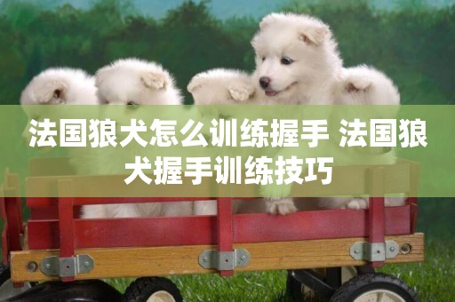 法國狼犬怎么訓練握手 法國狼犬握手訓練技巧