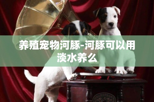 養殖寵物河豚-河豚可以用淡水養么
