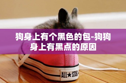 狗身上有個黑色的包-狗狗身上有黑點的原因
