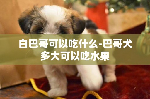 白巴哥可以吃什么-巴哥犬多大可以吃水果