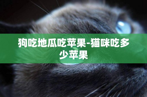 狗吃地瓜吃蘋果-貓咪吃多少蘋果