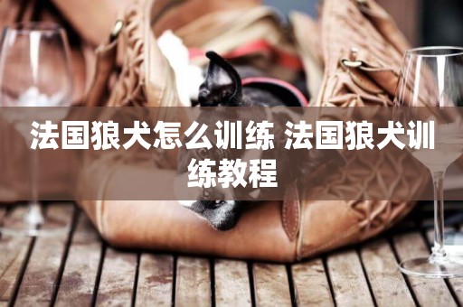 法國狼犬怎么訓練 法國狼犬訓練教程