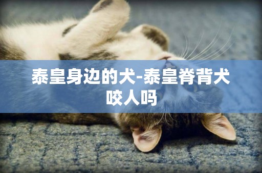 泰皇身邊的犬-泰皇脊背犬咬人嗎