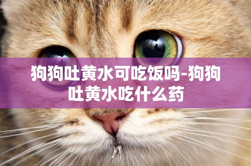 狗狗吐黃水可吃飯嗎-狗狗吐黃水吃什么藥