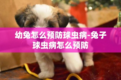 幼兔怎么預防球蟲病-兔子球蟲病怎么預防